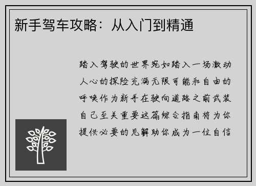 新手驾车攻略：从入门到精通